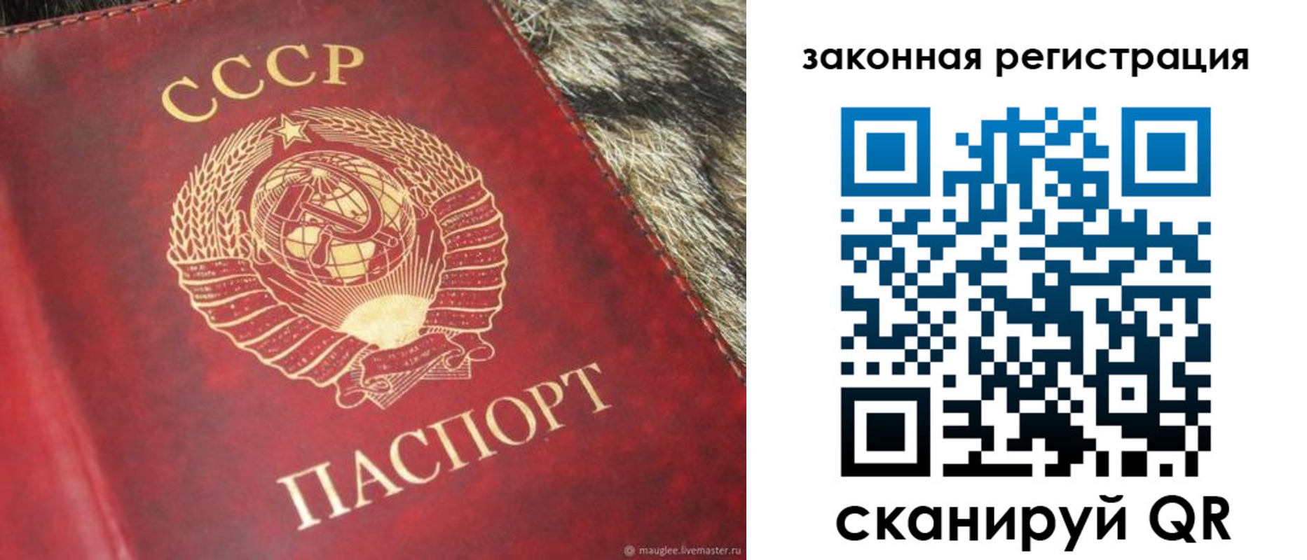 прописка от собственника в Дальнегорске